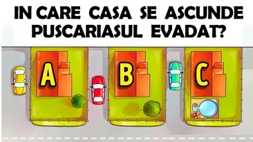 TEST IQ exclusiv pentru genii | Un pușcăriaș a evadat. În care casă se ascunde?