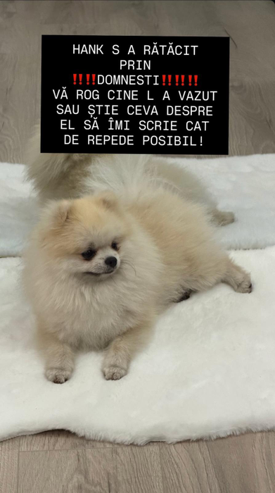 Apel disperat făcut de Dorian Popa! Ce i s-a întâmplat lui Babasha