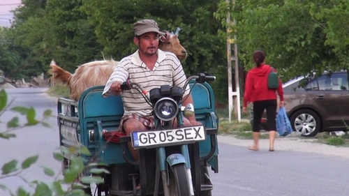 Inca o minune la Varasti! Asta e adevarata pozitie a caprei: cu coada pe sus, intr-o masinuta cu SEX in numar!