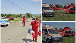 Ce au găsit anchetatorii la locul tragediei de la Ibănești, unde au sfârșit patru bărbați. Cum au murit, de fapt, patronul și cei trei angajați