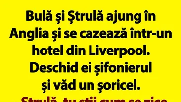 BANC | Bulă și Ștrulă ajung în Anglia și se cazează într-un hotel din Liverpool