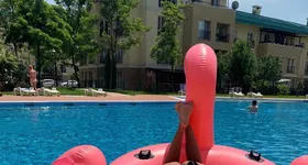 Galerie foto - poza 2