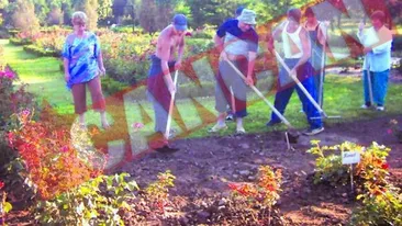 Devin experti in flori, de dupa gratii