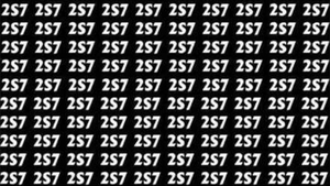 Test de perspicacitate | Găsiți numărul 257 în cel mult 5 secunde!