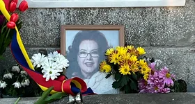 Galerie foto - poza 2