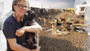 Ea este salvatoarea sutelor de câini din „Dumbrava Minunată”. "Cine nu iubește animalele, nu iubește nici oamenii"