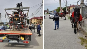 Nuntă stricată în Craiova după ce trăsurile mirilor au fost ridicate de polițiști