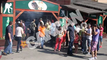 Razboiul micilor orgolii! Uite cum se inteapa Cocosatu si Gil in cea mai prolifica zi din an pentru gratarele lor!