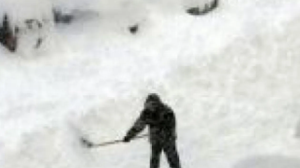 Ninsori si viscol puternic in nordul Statelor Unite ale Americii