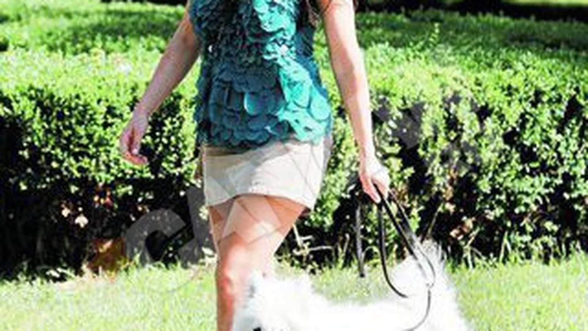 Paula Seling recunoaste ca isi neglijeaza sotul! Gateste mai mult pentru caine!