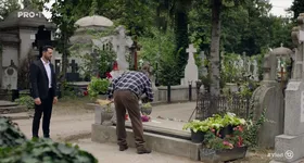 Galerie foto - poza 1