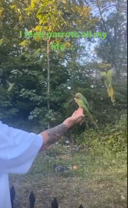 Alex Bodi, mesaj tranșant despre mariajul alături de Bianca Drăgușanu. Ce a putut să spună despre fosta lui soție