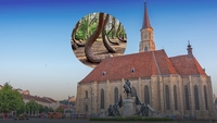 Ai ajuns în Cluj și vrei ceva mai tare decât centrul vechi? Intră în Hoia-Baciu, pădurea cu cele mai nebune legende din România