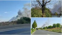 Incendiu de proporții la Glina. Flăcările au cuprins peste 12.000 de metri, fumul se vede din Capitală