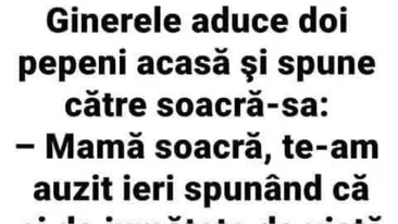 Bancul începutului de săptămână | Mamă soacră, te-am auzit ieri spunând că...