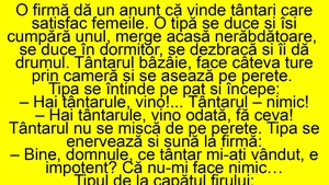 BANC | O firmă dă anunț că vinde țânțari care satisfac femeile