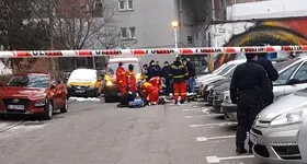 Galerie foto - poza 2