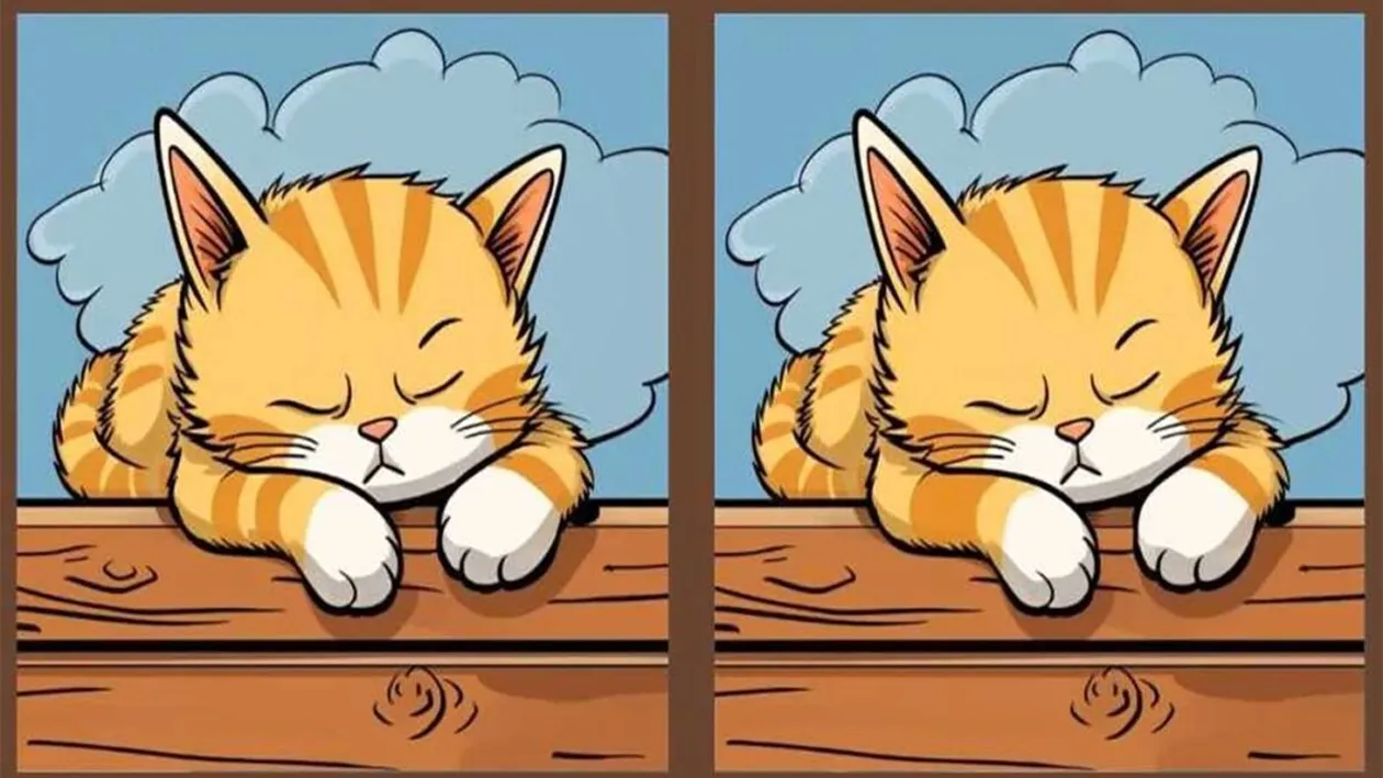 Test de perspicacitate | Găsiți toate cele 3 diferențe între cele două pisici din imagine, în maximum 23 de secunde