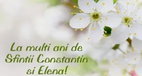 Galerie foto - poza 3