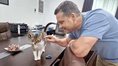 Ciprian Ciucu anunță ce se va întâmpla cu Jessy, pisica-mascotă a Primăriei Sectorului 6, după mutarea lui la PMB