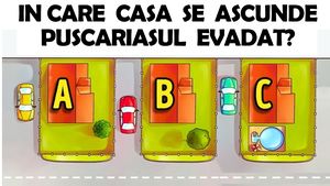 TEST IQ exclusiv pentru genii | Un pușcăriaș a evadat. În care casă se ascunde?
