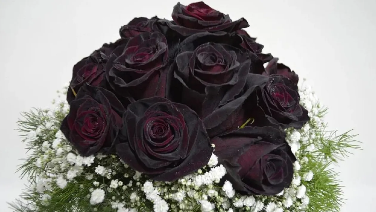 Andrei Ichim, un copil geniu din Iași, s-a sinucis la vârsta de 14 ani. Avusese mai multe discuții aprinse cu tatăl său în ultima perioadă