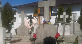 Galerie foto - poza 4