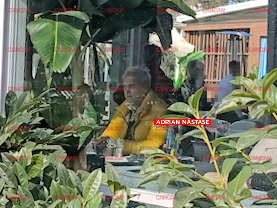 Adrian Năstase și soția strălucesc mai ceva ca soarele