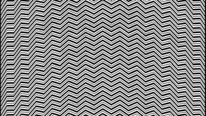 Iluzie optică virală | Ce animal vezi în această fotografie?