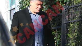 "Falcosul" mesteca si scuipa