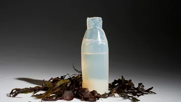 Înlocuitori biodegradabili pentru sticlele de plastic? Un bărbat a inventat sticlele făcute din alge! 