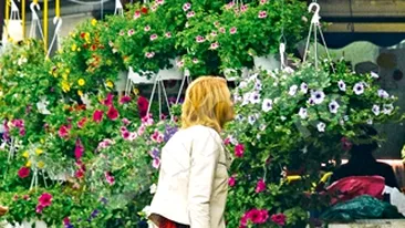 Sandra Stoicescu isi da toti banii pe flori