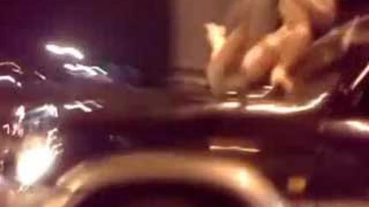 Trei blonde goale excita soferii in timp ce se dezbraca pe capota unui jeep aflat in mers!