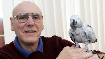 A chemat un taxi pentru a se întoarce la stăpânul său! Ai fi crezut că papagalii sunt atât de inteligenţi?