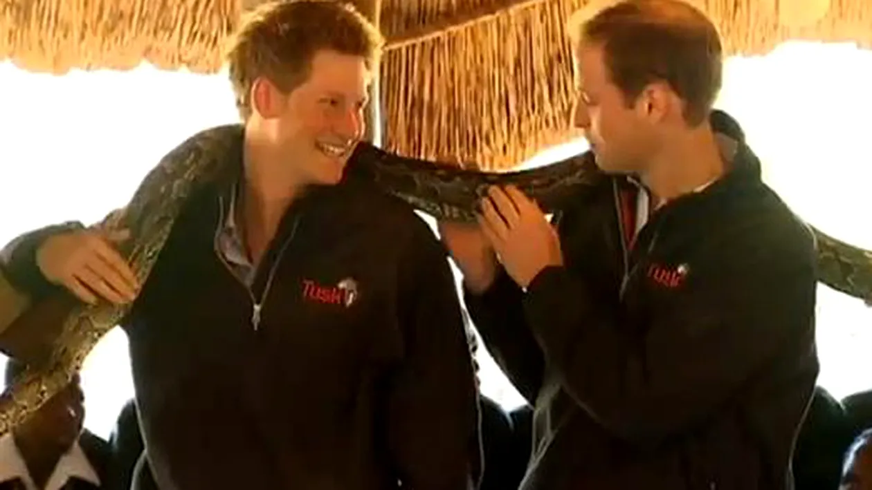 VIDEO Printii Harry si William s-au jucat cu un piton imens!