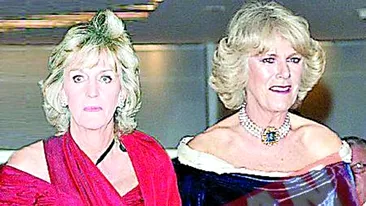 Camilla si-a angajat sora la palat
