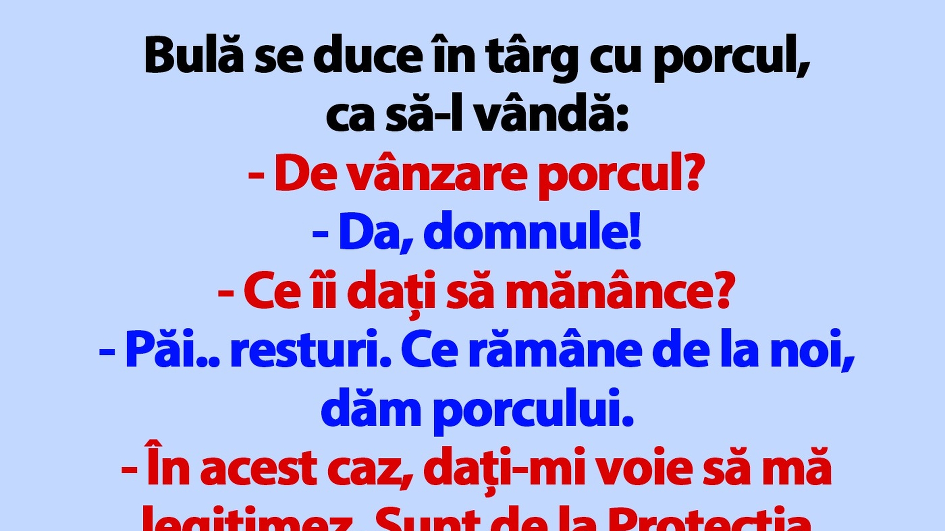 BANC | Bulă se duce în târg cu porcul, ca să-l vândă