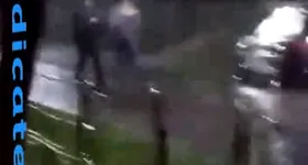 Galerie foto - poza 3