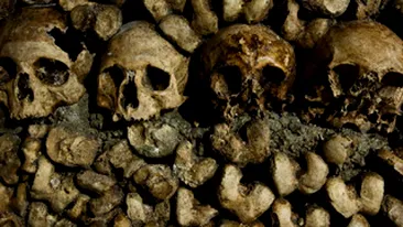 Peste 50 de cadavre au fost gasite intr-o groapa comuna din Mexic