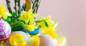 Galerie foto - poza 4