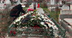 Galerie foto - poza 2