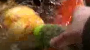 VIDEO Chinezii hranesc pestii cu biberonul!