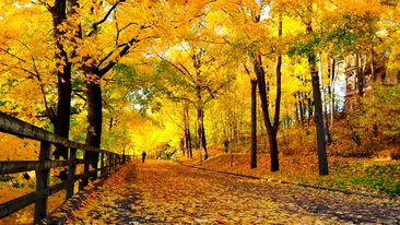 METEO 19 OCTOMBRIE: Vreme neobişnuit de caldă pentru această perioadă