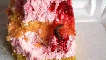 Prăjituri cu viermi la o cofetărie din Arad! Autorităţile fac verificări