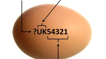 Puțini români știu acest lucru! Ce semnifică fiecare cifră din codul de marcat de pe ouă