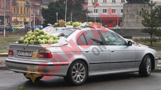 Masina unui aradean, acoperita cu varza si un iepure impaiat