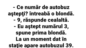 Banc cu blonde | "Ce număr de autobuz aștepți?"