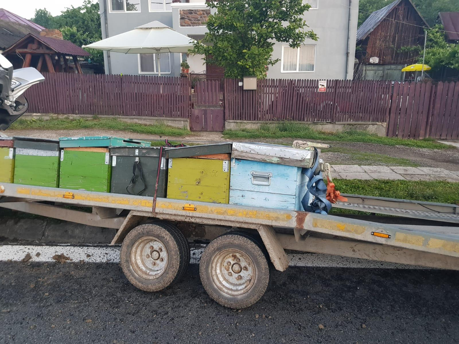 Tragedie în Neamț, după un accident rutier. Un bărbat a murit! FOTO
