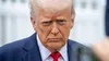 O specie de molie cu „părul blond” a fost numită după Donald Trump. Cum arată insecta care seamănă cu președintele american