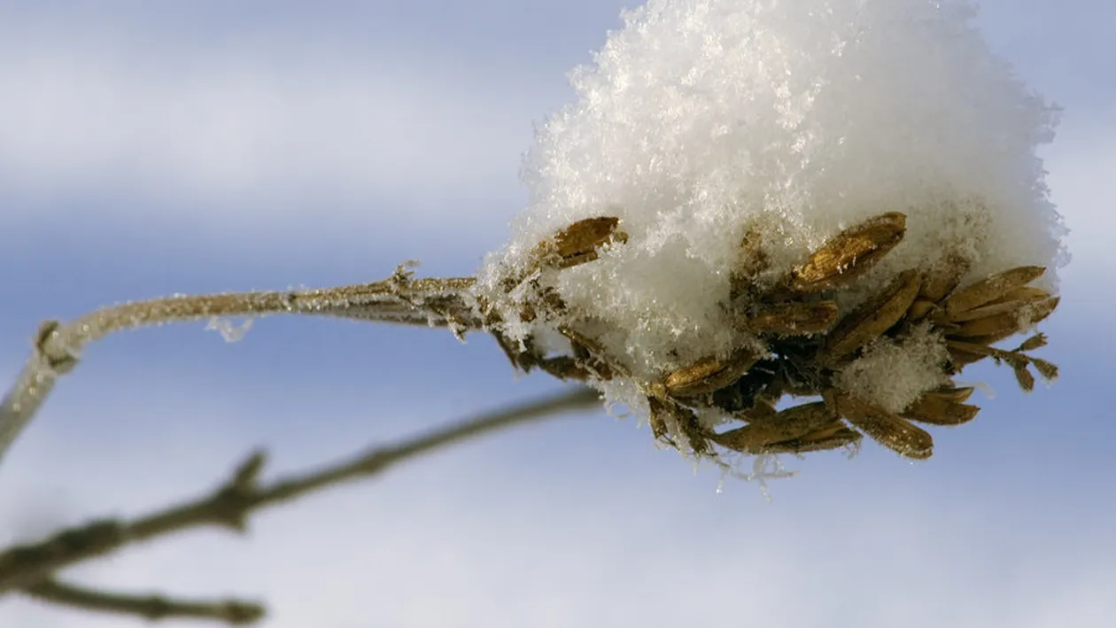 S-a terminat cu vremea bună. A venit iarna în mai multe regiuni din țară. În zonele de munte au fost înregistrat primele ninsori